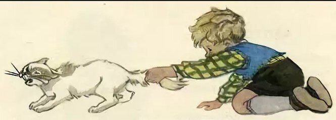 (картинка из интернета)