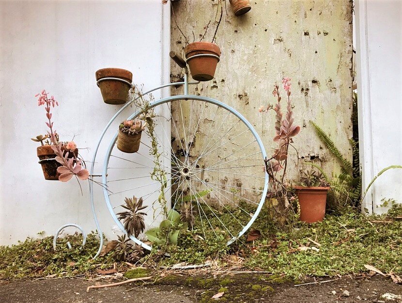 Фото с Pixabay.