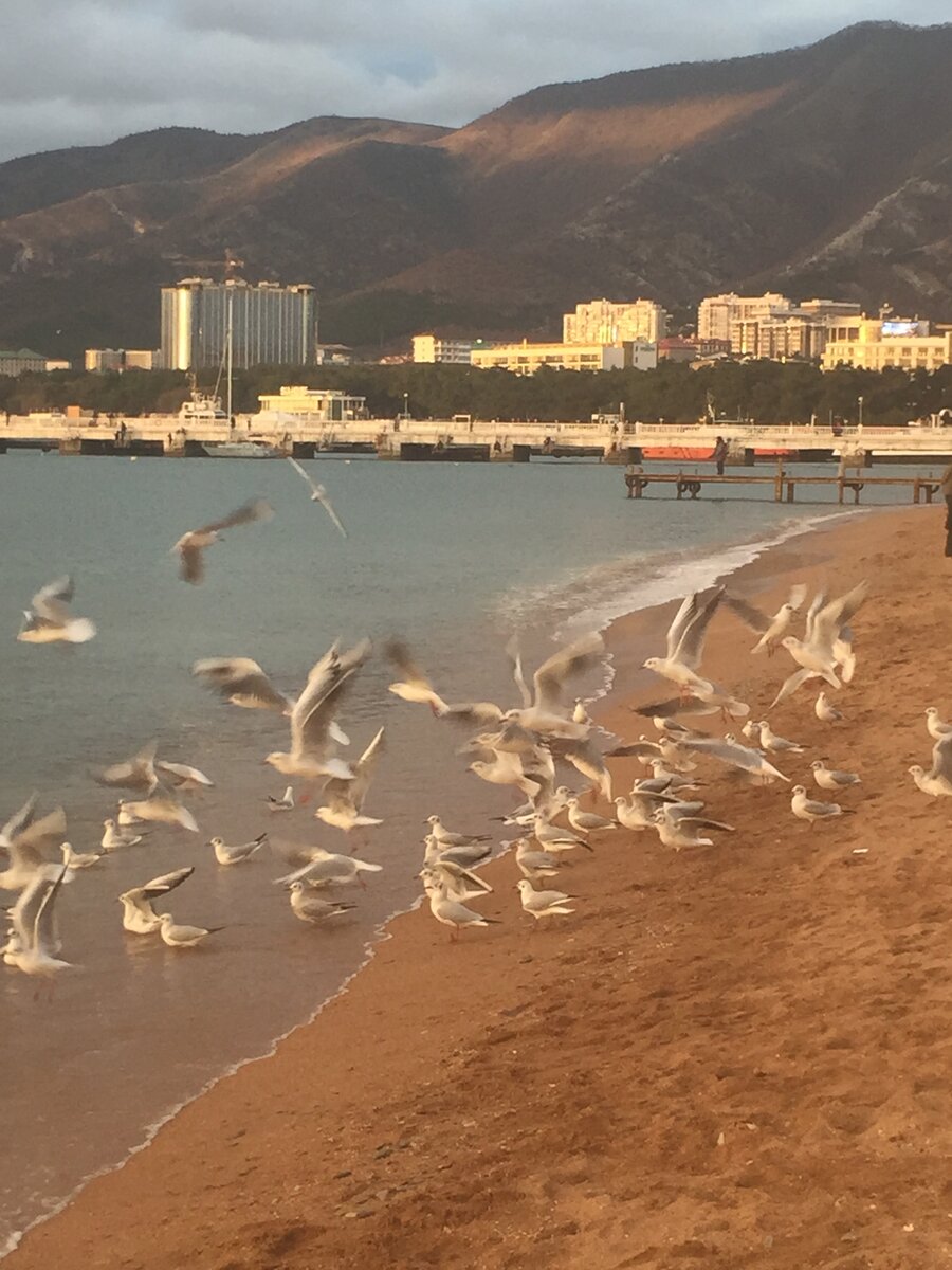 море зимой в геленджике