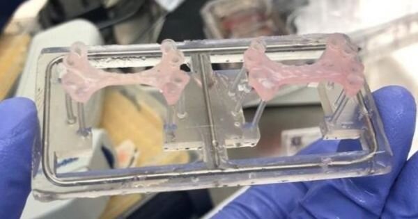 Новинка способна помочь людям быстро оправиться после сердечного приступа.