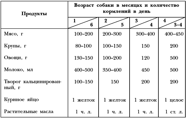 Сколько кормить щенка: Полное руководство по кормлению щенка с диаграммой |  БОБИК и КОТИК | Дзен