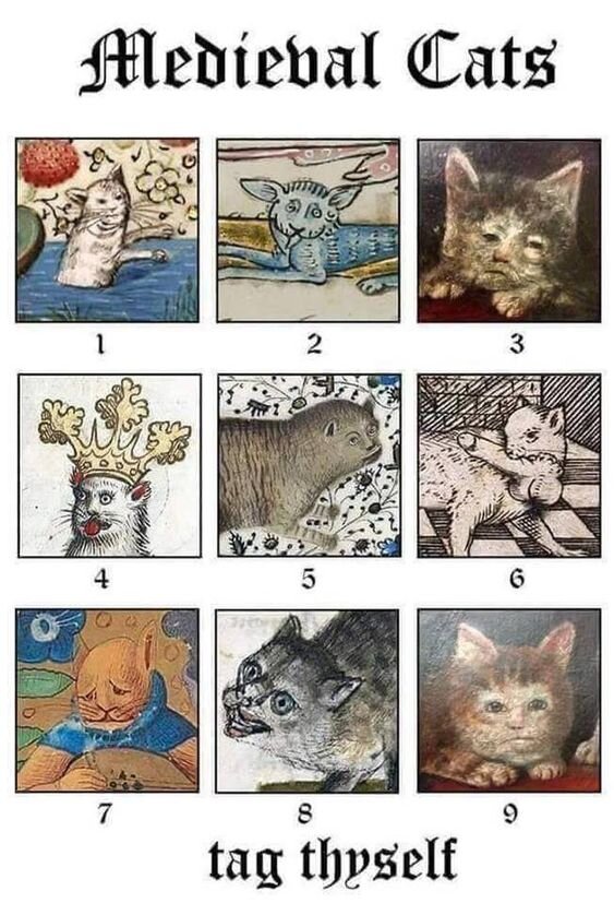 Средневековый кот это диагноз