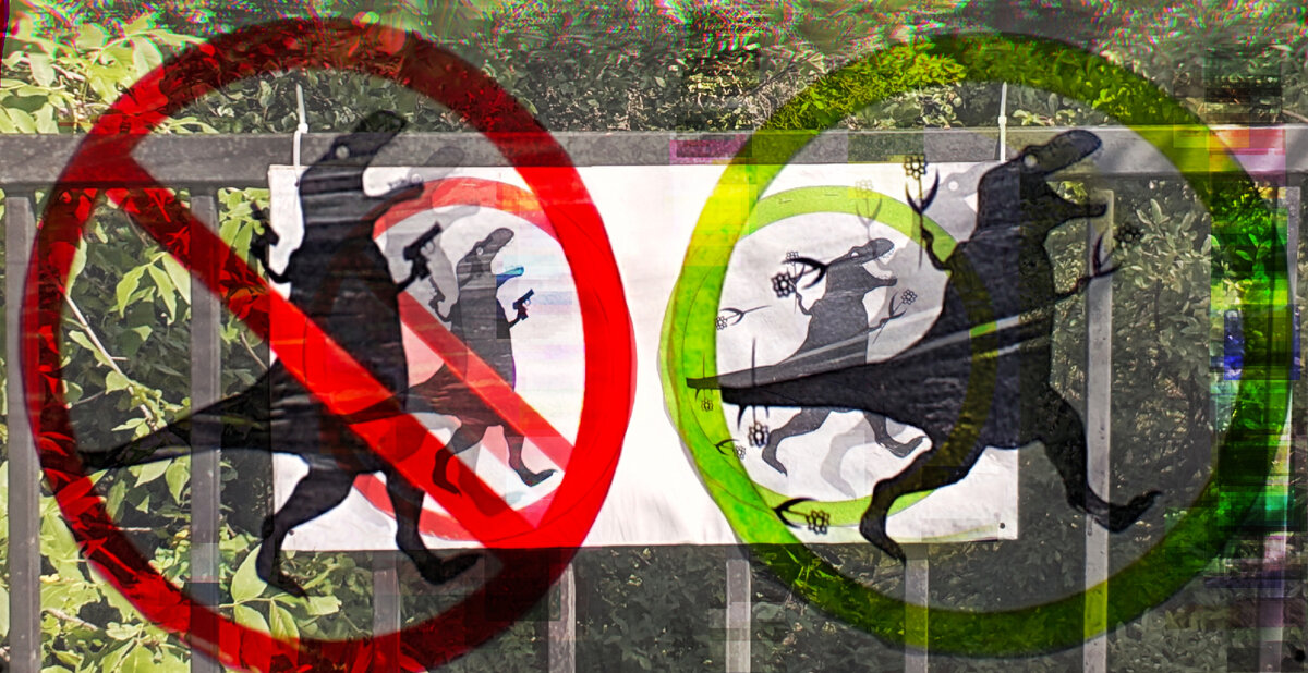 Санкт-Петербург. Пункт наблюдения за альтернативными линиями вероятностей, Ботанический сад, вероятность 31415-19-420/23