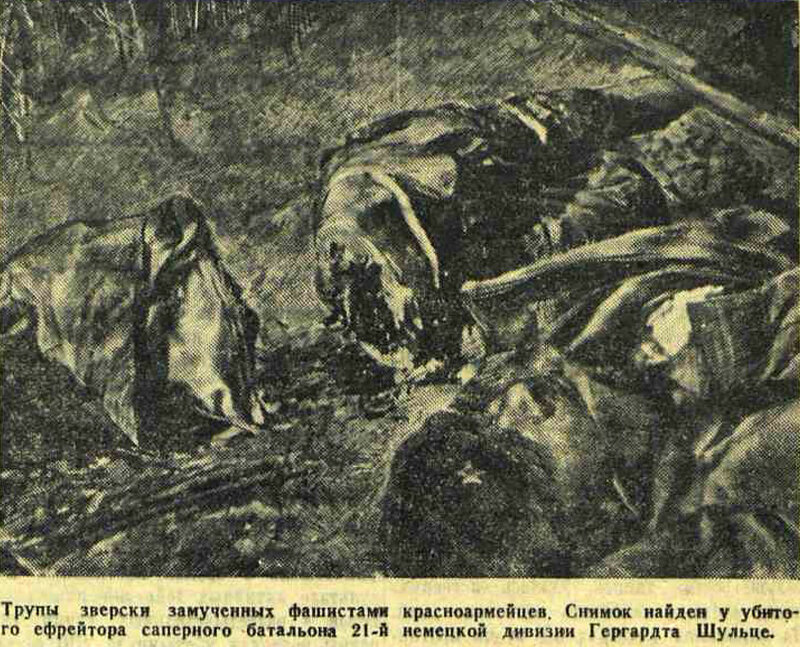 Трупы зверски замученных фашистами красноармейцев. Снимок найден у убитого ефрейтора сапёрного батальона 21-й немецкой дивизии Гергардта Шульце.