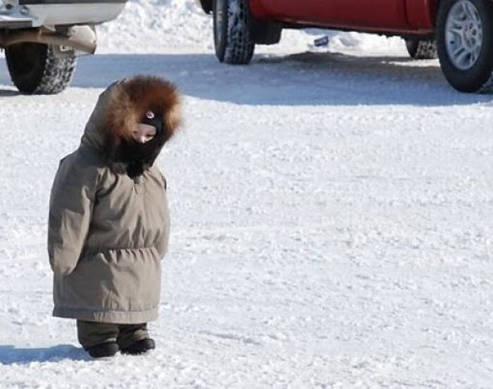 Источник фото: Яндекс.Картинки