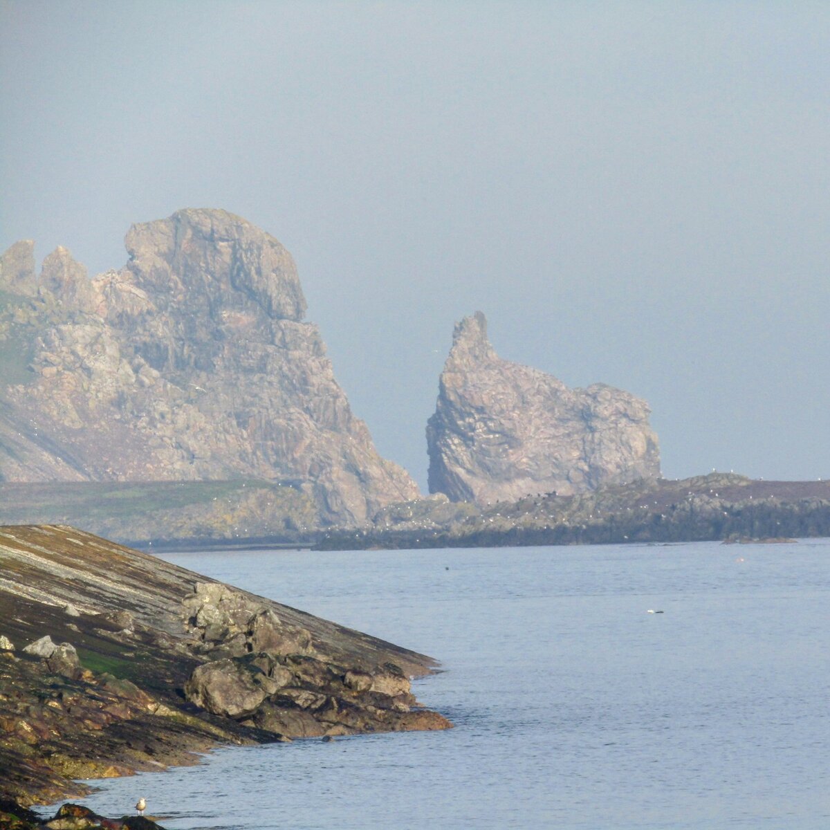 Хоут, Ирландия.