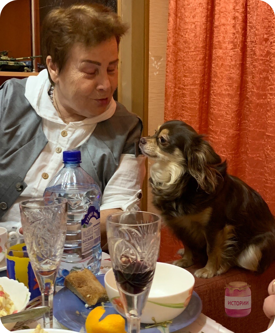 Даже собака пыталось быть послушной