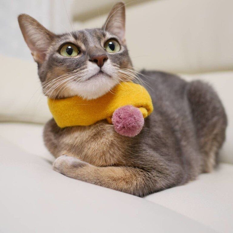 Красивый шарфик