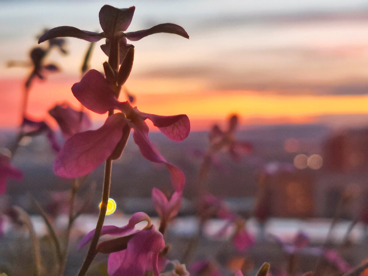Богом я открыла время новых начинаний
