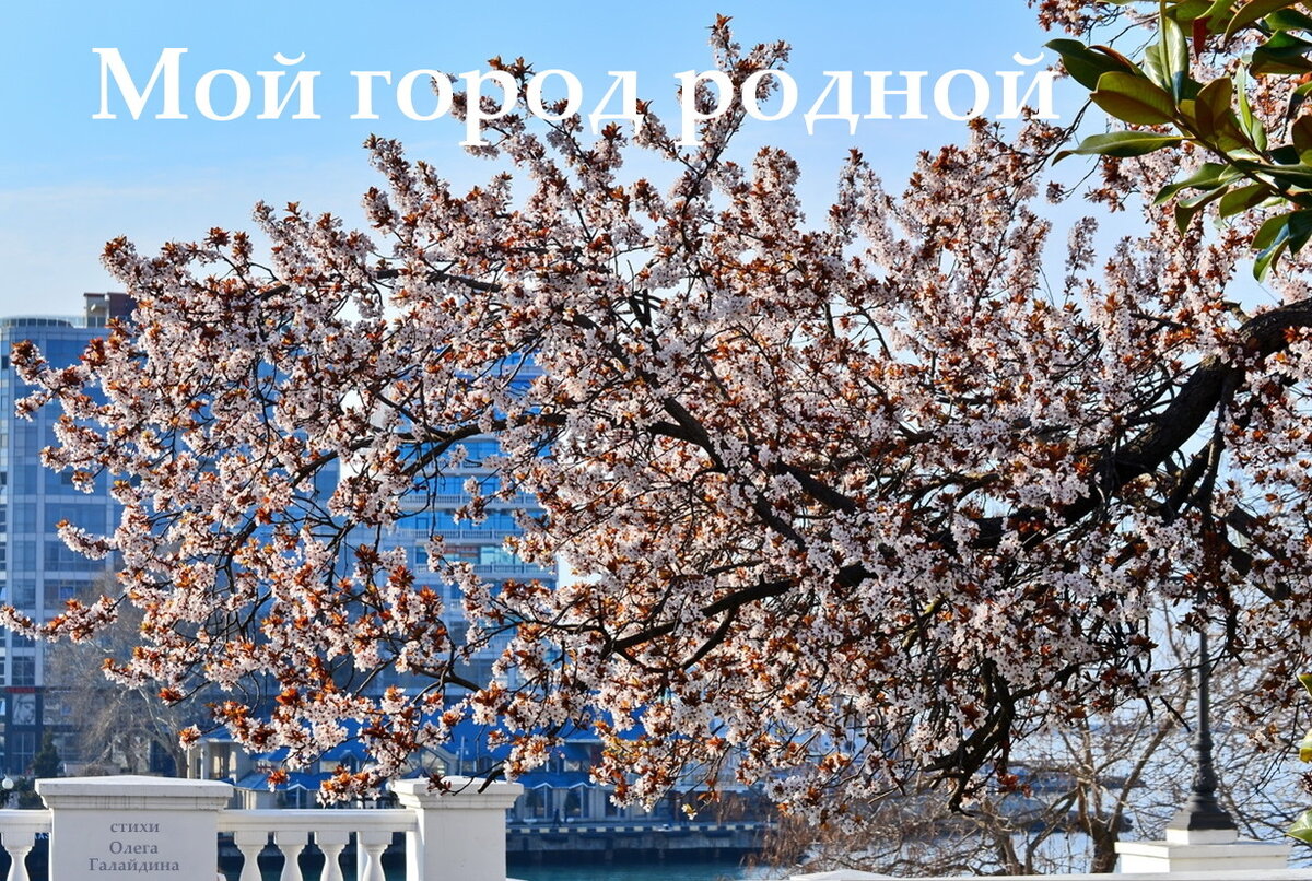 "Мой город родной" стихотворение Олега Галайдина