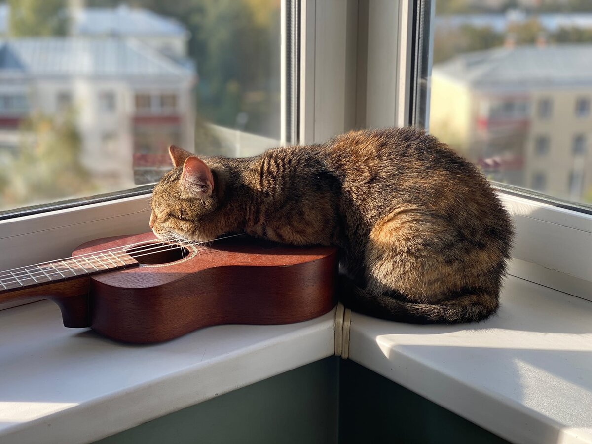 Иногда она еще  бродит по пианино, но со слухом и чувством ритма у нее так себе