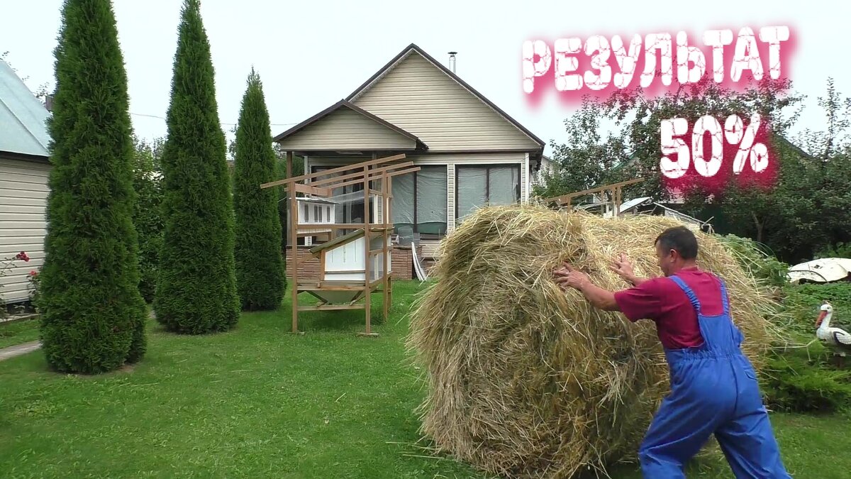 Разведение кроликов