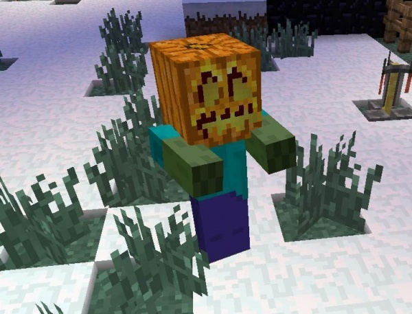 Необычный головной убор.