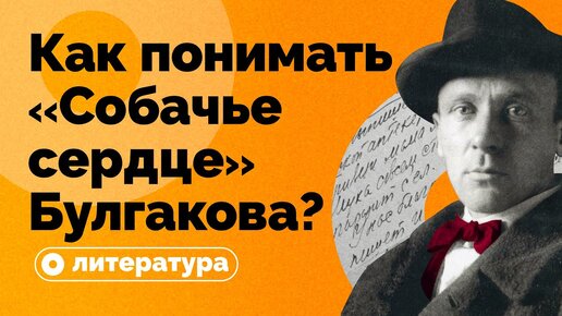 Как понимать «Собачье сердце» Булгакова?