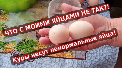 Куриные яйца с дефектом - опасно или нет?