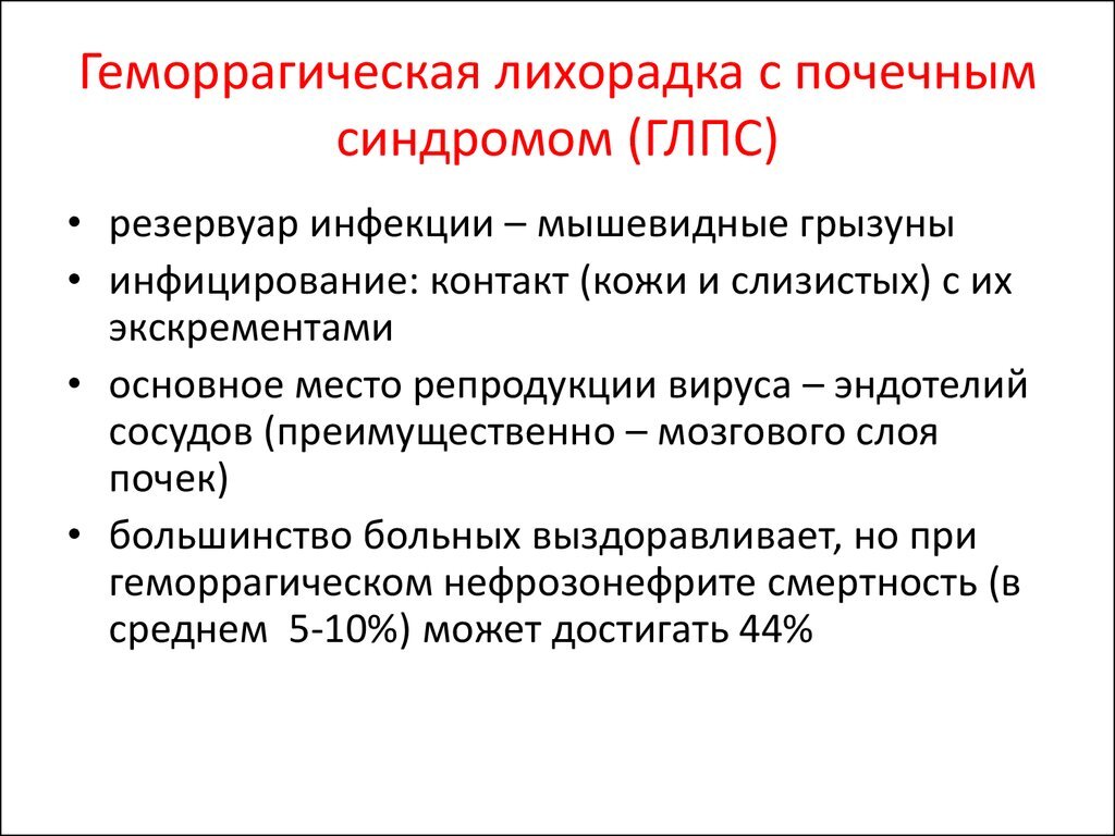 Чужие на даче. | Таша Муляр ЖИЗНЬ БЕЗ ДУБЛЕЙ | Дзен