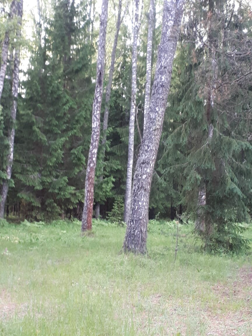 Я заезжала 19-го, после работы, еще никого не было))