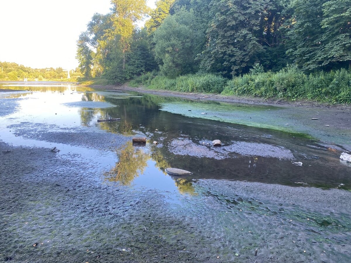 рогожинский парк в туле