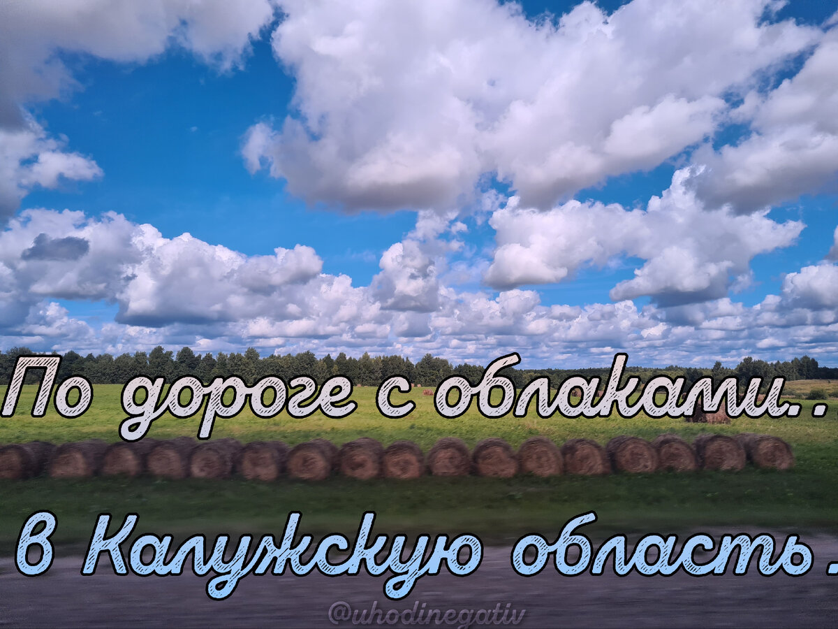 Киевское шоссе. Фото: Анна Салтаганова.