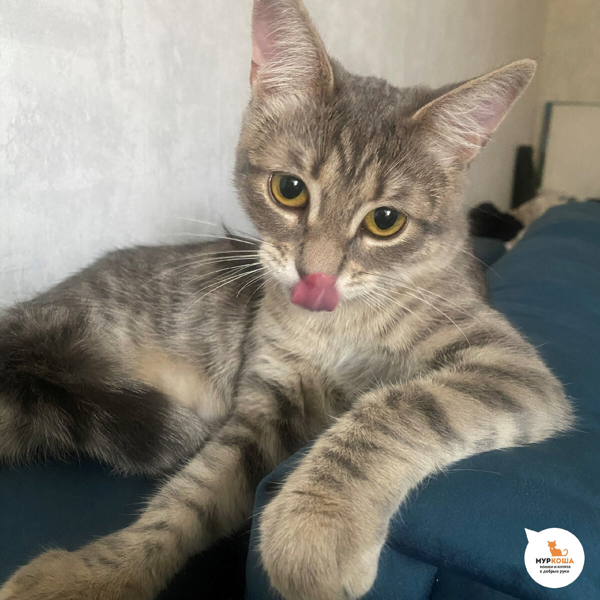 Какая грация! 🤭