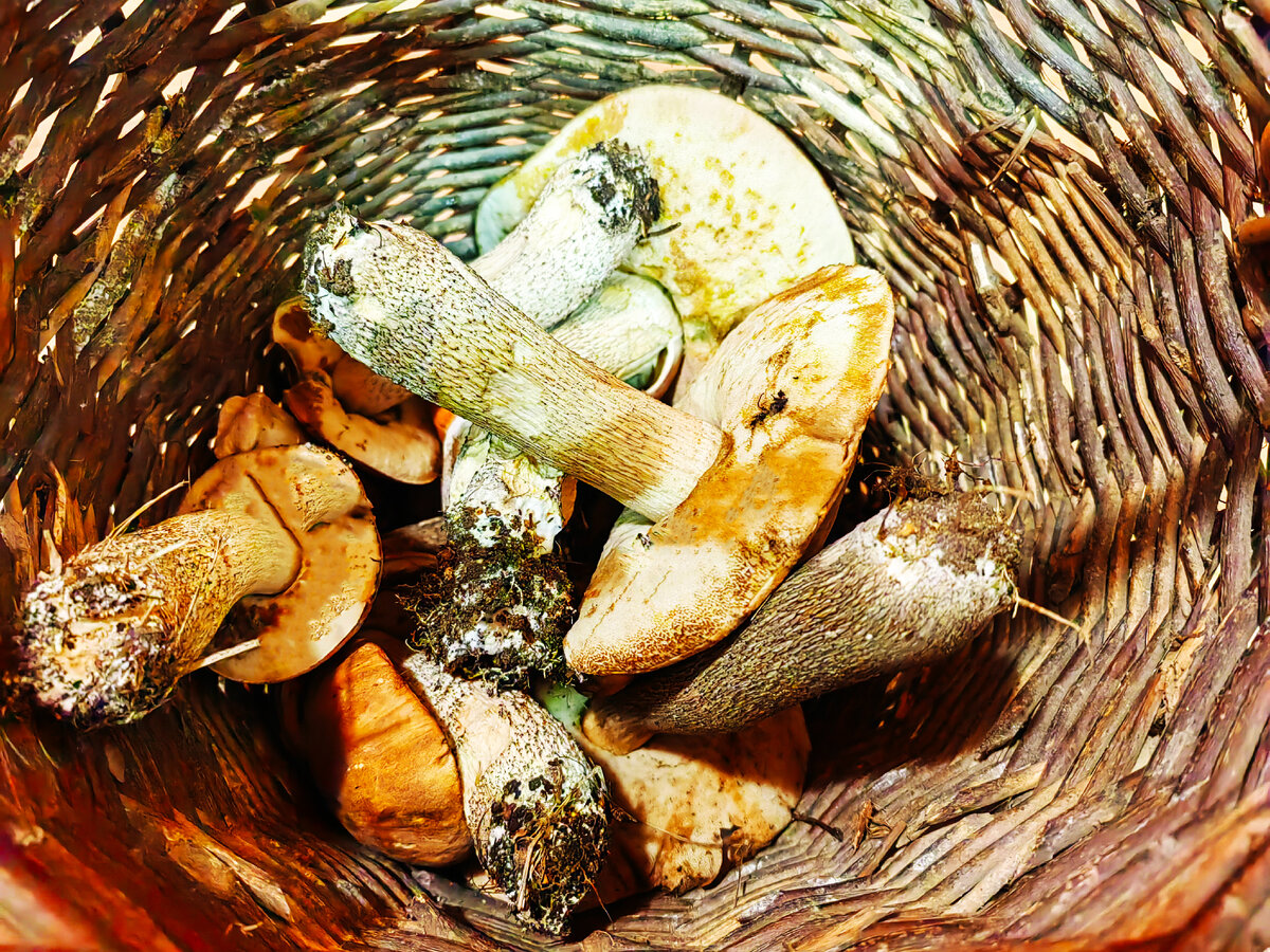 Фото из личного архива 