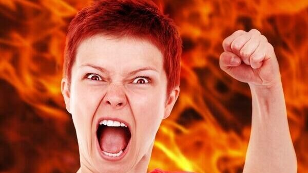    Поляки в бешенстве: им показали ассортимент и цены в магазинах России© PxHere | pxhere.com