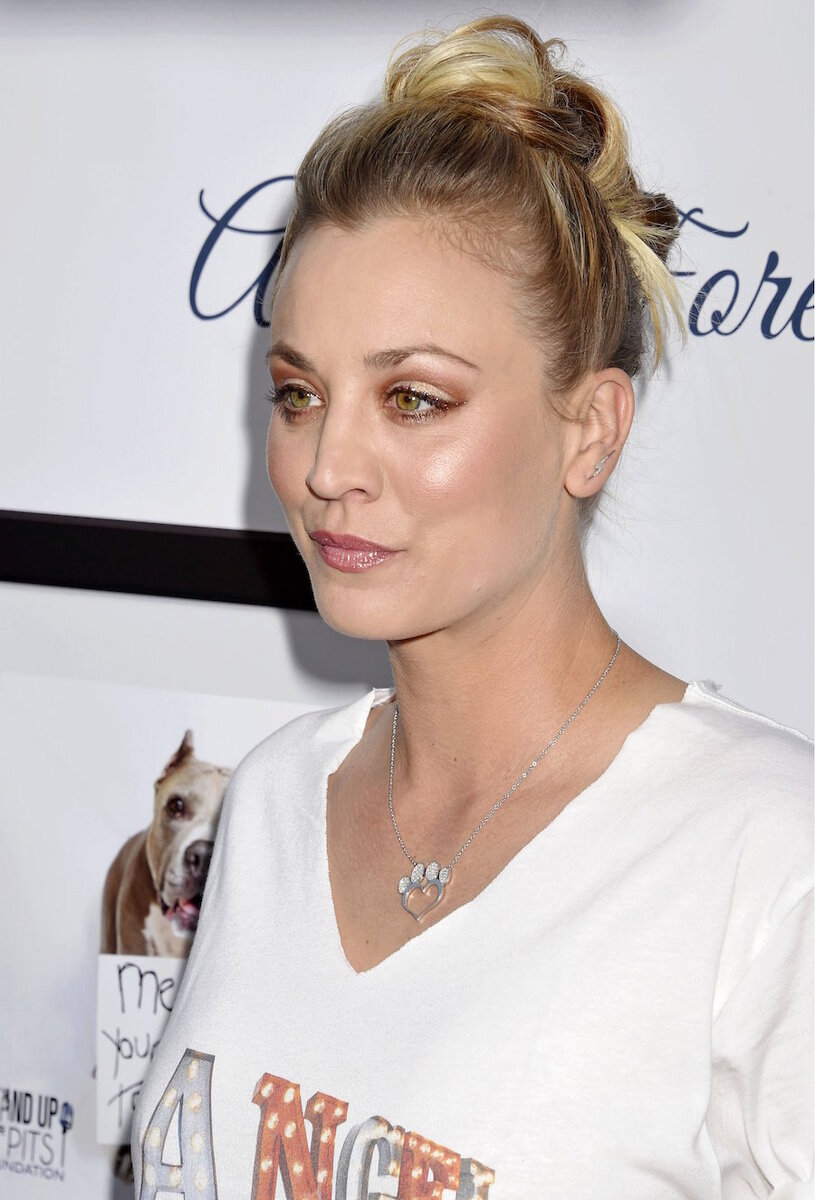 Кейли Куоко выбрала очень странную форму бровей. На наш взгляд, у девушки очень резкий переход от широкой части к узкой. 