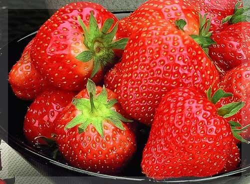 Садовая клубника: полезные свойства и калорийность ароматной ягоды