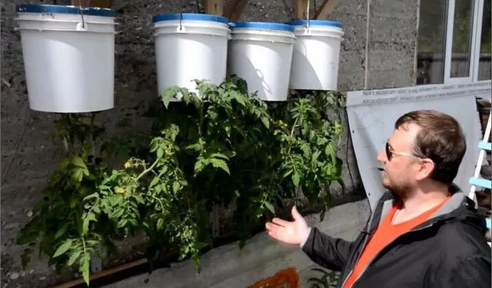 Яндекс.Картинки