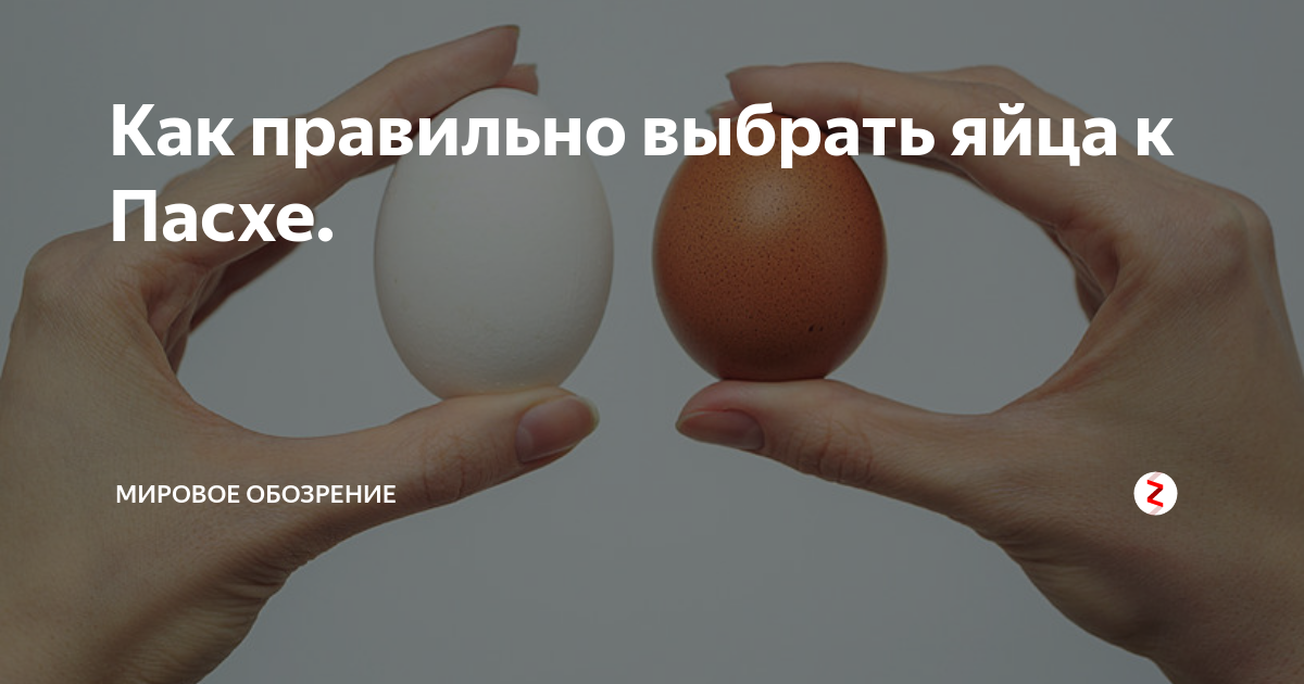 Как правильно выбирать яйца. Какие продаются яйца. Отличие коричневых яиц от белых. Яйцо и яичко разница. Коричневые и белые яйца.