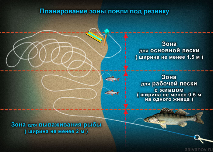 Рыбалка на резинку - браконьерская ли снасть? | Рыбалка и ихтиология | Дзен