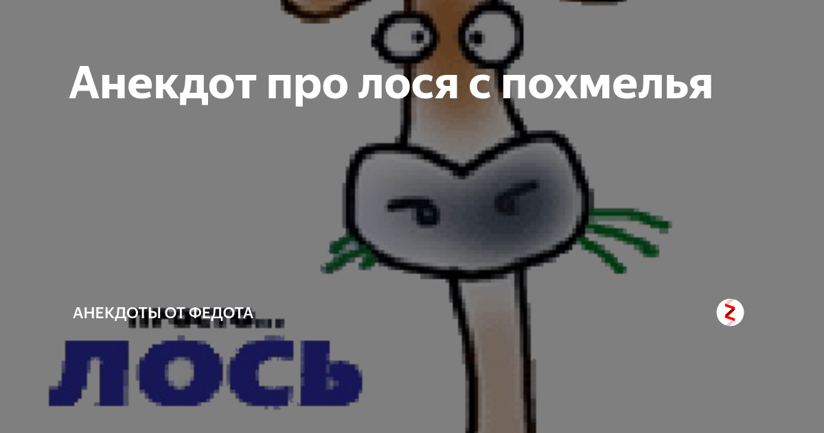 Анекдот про лося. Шутки про лося. Анекдот про лося с бодуна. Анекдот про лося с похмелья.