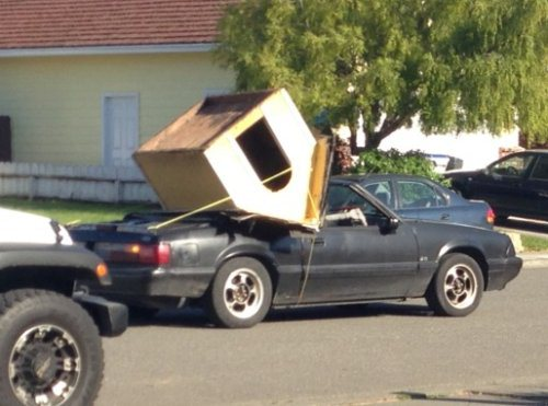 Новый дом для шарика везут!