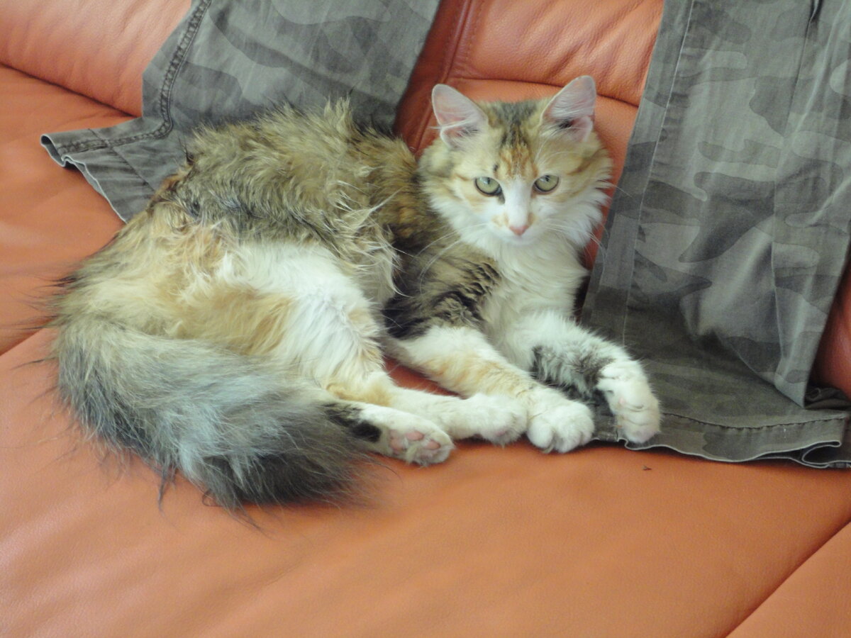 Меня фоткали на фоне штанов! Позор какой