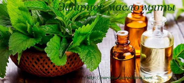 Здравствуйте, дорогие читатели. Сегодня хочу поговорить об эфирном масле мяты. Эфирное масло мяты применяют при нервном переутомлении, головных болях, при тошноте, зубной боли, воспалении десен и пр. болезнях. Применяют масло мяты в косметологии, для лица и для волос. Широко применяют данное масло в производстве лекарственных препаратов (Валидол, Валокордин, капли и мази от насморка, сироп от кашля и пр.), а также в пищевой промышленности (конфеты, жевательные резинки, кондитерские изделия и пр.), для ароматизации средств по уходу за полостью рта (зубные пасты, ополаскиватели для ротовой полости). Вообщем мята уникальное растение, применяют мяту и мятное масло довольно широко.  
Более подробно, о мяте, полезный свойствах, применение, противопоказаниях, можно узнать из статьи на блоге «Мята перечная, полезные свойства«.

Мятное масло получают методом паровой перегонки свежих мятных листочков. Содержит мятное масло около 30 компонентов терпеноидного строения не считая микроэлементов. Прекрасно сочетается с цитрусовыми маслами, грани, лаванды, майорана, нероли, эвкалипта, сосны.

Хранят масло мяты при комнатной температуре, в недоступном месте для детей. Обычно качественное мятное масло продается в бутылках из темного стекла. Храниться открытое масло около гола, только у цитрусовых срок хранения в открытом виде составляет всего пол года.
Эфирное масло мяты. Свойства.

Давайте более подробно остановимся на свойствах мятного масла, а также сферах его применения. Мятное масло пользуется не большой популярностью, как другие эфирные масла. Наверное все можно объяснить доступностью данного растения. Но тем не менее, масло обладает полезными и лечебными свойствами.

    Масло мяты обладает противовоспалительным свойством.
    Присущи мятному маслу спазмолитическое и болеутоляющее свойство.
    Масло мяты прекрасный антисептик, обладает антисептическими свойствами.
    Потогонное и жаропонижающее свойство.
    Плюс ко всему мятному маслу присуще рассасывающее свойство, а также желчегонное, мочегонное.
    Ну и конечно же нельзя не отметить освежающее свойство мятного масла.
    Мятное масло обладает бактерицидным и противовирусным действием.

мята перечная полезные свойства

Аромат мяты положительно влияет на нервную систему, снимает стресс, восстанавливает силы. А еще запах мяты повышает доверии, убирает скованность и напряжение.
Масло мяты. Применение.

Применяют масло мяты при простудных заболеваниях, масло способно снизить температуру тела. При потере голоса мята оказывает смягчающий эффект. При простуде я обычно капаю мятное масло в аромалампу, но больше всего при вирусных и простудных заболеваниях эффективно масло чайного дерева. Подробную информацию, о моем любимом масле, можно прочитать в статье «Эфирное масло чайного дерева«.

Мятное масло улучшает мозговое кровообращение и действует как спазмолитическое средство. Справляется эфирное масло мяты с головной болью. При страхе, неврозности, беспокойстве достаточно капнуть каплю масла на носовой платочек.  Медленно и спокойно вдыхать аромат масла мяты.

Устраняет масло мяты неприятный запах изо рта, дезинфицирует ротовую полость. При зубной боли масло мяты устраняет зубную боль. Применяют масло мяты при воспалении десен.

При тошноте, масло мяты просто спасение. Не даром же мятную карамельку рекомендуют при тошноте. При тошноте рекомендуется также вдыхать мятное масло.

При  кашле, простуде, вирусных заболеваниях, масло мяты применяют в качестве ингаляций, ванны, компресса.
Дозировка эфирного масла мяты.

    для массажа нужно не более 6 капель на 10 мл масла – основы;
    для компрессов нужно 4-6 капель;
    для теплых ингаляций берут 1-2 капли, а сама длительность процедуры должно составлять 5 минут;
    в аромалампы капают 3-6 капель;
    для обогащения шампуней, масок, тоников, кремов берут 1-2 капли на 10 грамм масла – основы;
    в аромамедальон капают 2-3 капли;
    для принятия ванны берутся до 6 капель эфирного масла мяты;
    для внутреннего употребления два-три раза в день можно съесть варенья или мёда в одной каплей эфирного масла мяты, при этом запить чаем. Соком или кефиром;
    при изжоге принимают 2 капли эфирного масла мяты на половину чайной ложки кефира, запивая водой.

    эфирное масло мяты

Но, кроме положительных сторон мятного масла, есть и отрицательные. У масла мяты есть противопоказания, с которыми вам нужно ознакомиться перед применением данного масла.
Масло мяты. Противопоказания. 

Не рекомендуется применение данного масла при беременности и во время кормления грудью. Детям до семи лет масло мяты противопоказано.

Масло мяты может вызвать аллергию, так что будьте осторожны с данным маслом. Ну и при индивидуальной непереносимости ментола или мяты, масло мяты применять нельзя.

Масло мяты не стоит применять на протяжении слишком долгого периода, несмотря на то, что мятному маслу приписывают успокаивающие свойства, масло мяты может вызвать бессонницу, особенно если его применять на ночь.

Масло мяты применять в чистом виде нельзя, его нужно смешивать с базовым маслом. Мятное масло считается женским маслом. Многие женщины применяют масло мяты в уходе за волосами и лицом. Более подробно, о применении мятного масла для волос, можно узнать из статьи «Мята для волос«.

Масло мяты применяют для отпугивания насекомых, так как некоторые насекомые не выносят запах масла мяты. С помощью мятного масла можно избавиться от муравьев и грызунов.