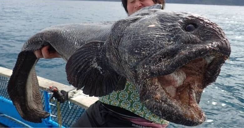 Источник: therichest.imgix.net