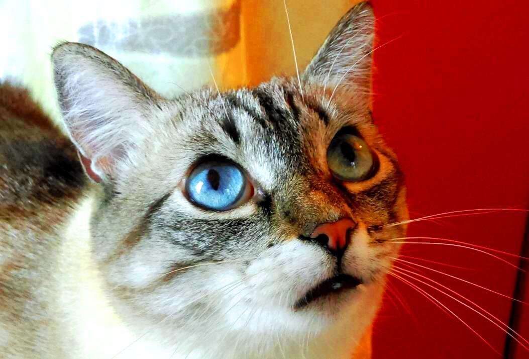 Диспетчер Беляшик - грубиян и задира. Как его, вообще, взяли на такую работу?