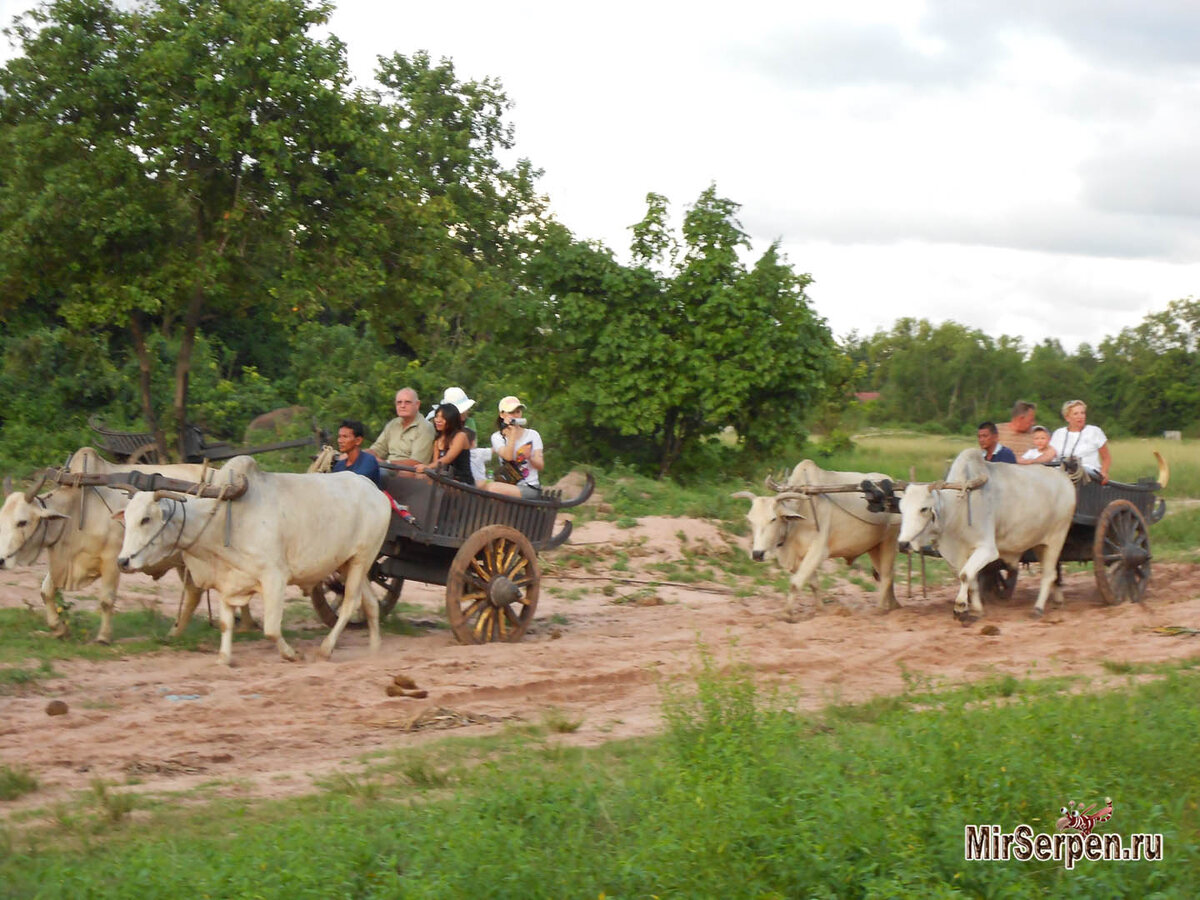 Туристы на экскурсии в Паттайе
