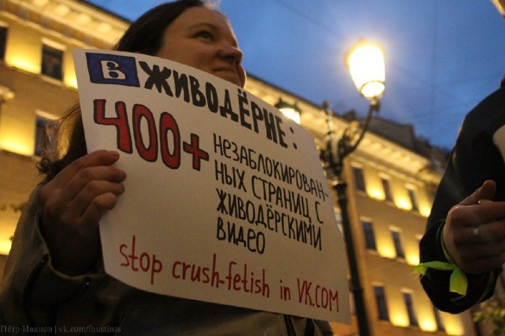 Источники ТГ-каналы и ВК-группы