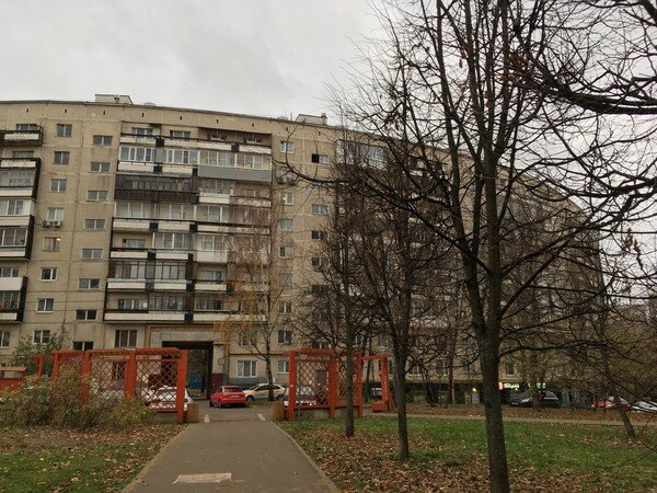   Снимок сделан автором поста

