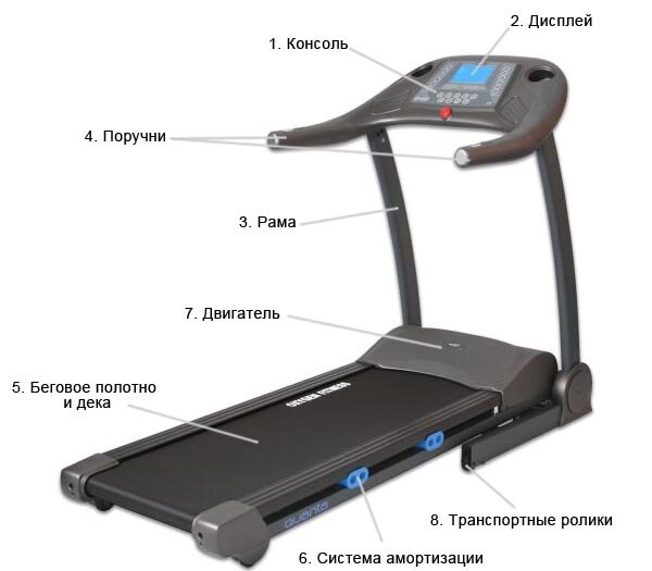 Электрическая Беговая дорожка BENCARFITNESS TS 156