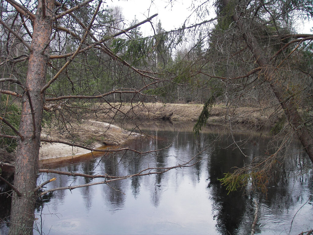 Вебкамеры на реке кондоба. Деревни реки Кондоба. Фото Кондоба село.