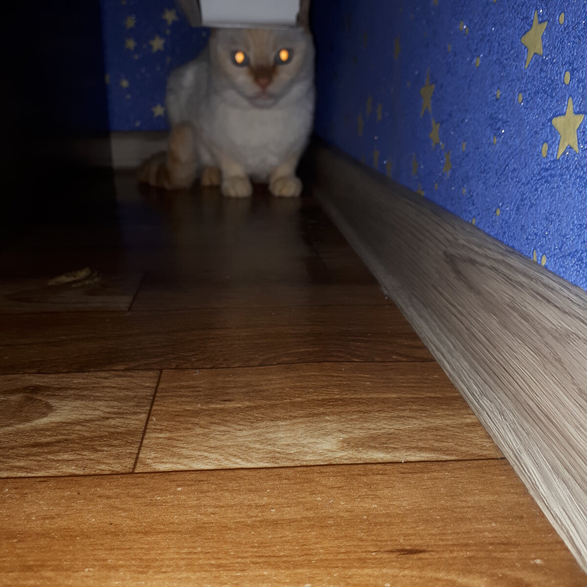 Это, конечно, другая щель, но в ту я не пролезу!