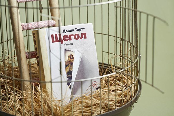 За эту книгу Донна Тартт в 2014 году получила Пулицеросовскую премию