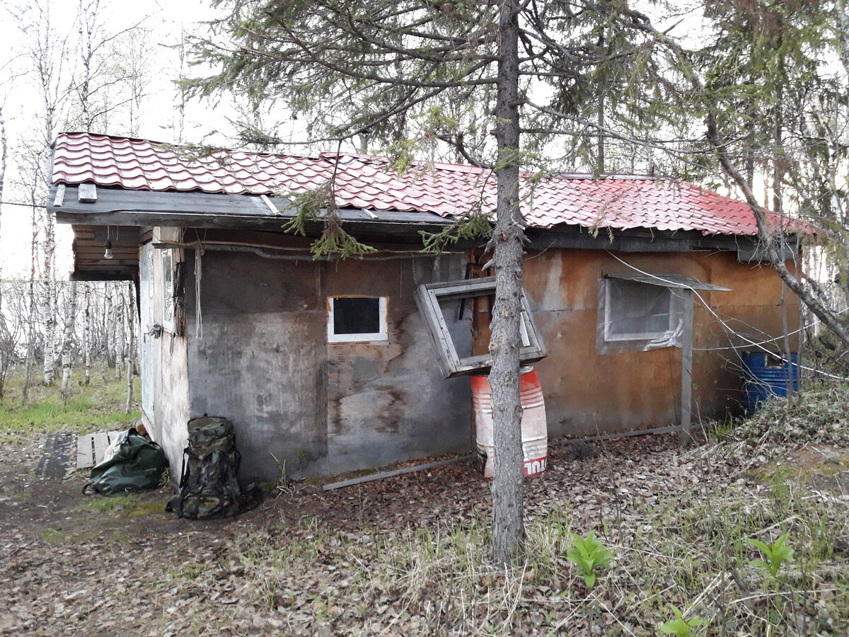 (фото подписчика Александра) 