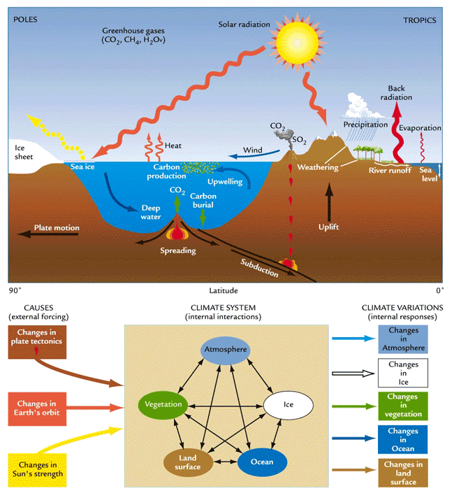 Схема биосферных циркуляций и микроэлементов