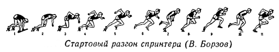 Фазы в легкой атлетике. Бег на короткие дистанции стартовый разбег. Фазы бега на короткие дистанции. Техника бега на короткие дистанции схема. Бег на короткие дистанции фазы бега.