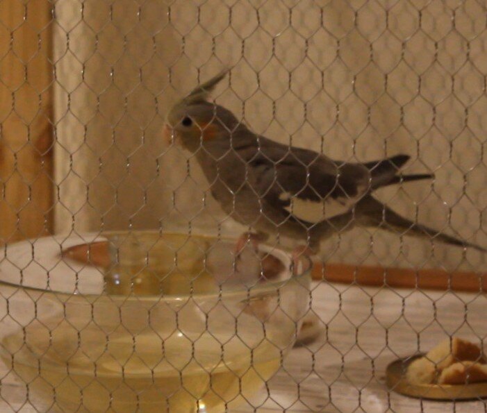 Скриншот из видео