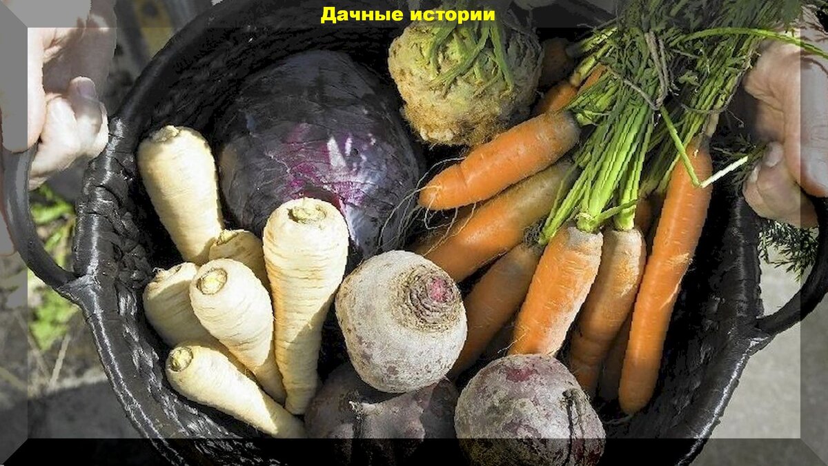 https://vk.com/photo-159774511_456241699