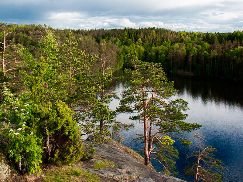 Источник фото: oblast47.ru